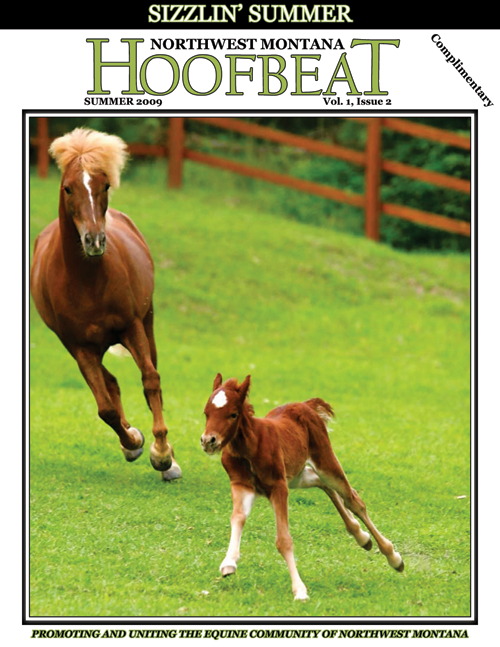 Kerry Bog Pony Hoofbeat Magazine